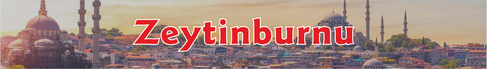 Zeytinburnu